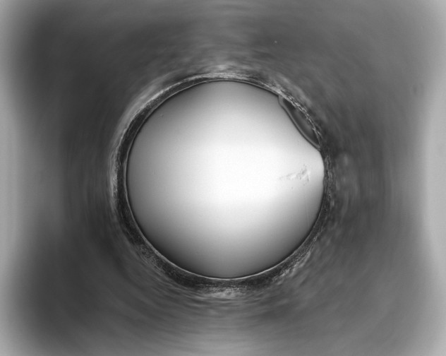 X0000093500344200711021014