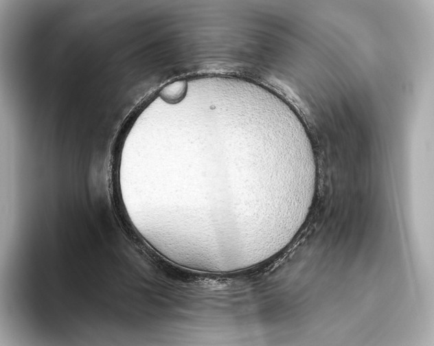 X0000093500346200711021014