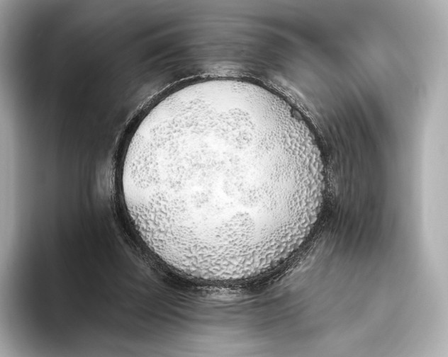 X0000093500347200711021014