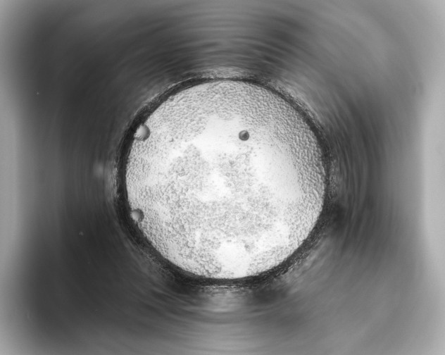 X0000093500351200711021014