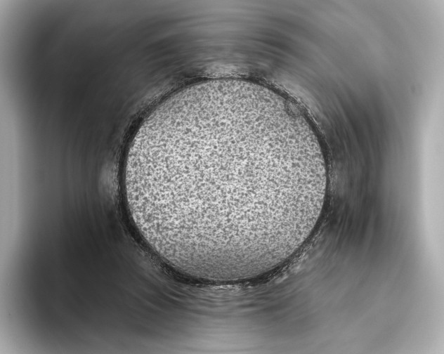 X0000093500353200711021014