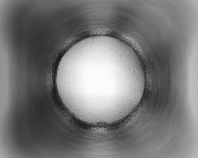 X0000093500354200711021014
