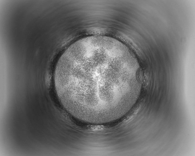 X0000093500355200711021014