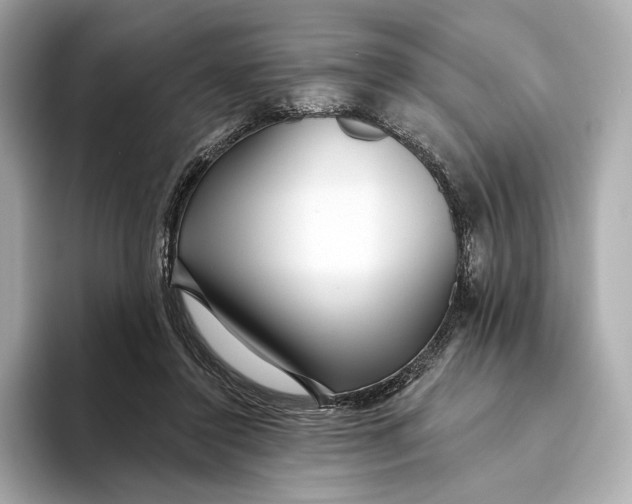 X0000093500356200711021014