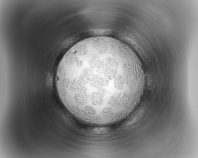 X0000093500357200711021014