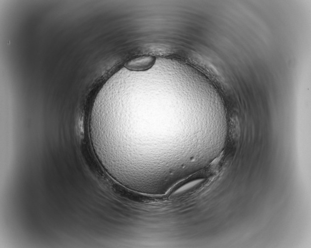 X0000093500358200711021014