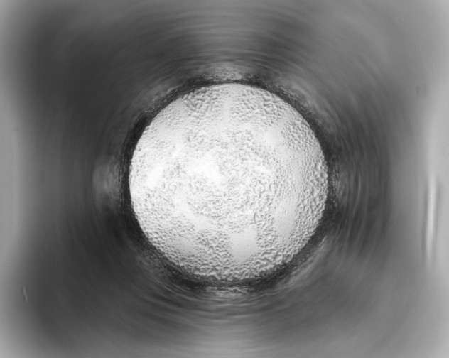 X0000093500359200711021014