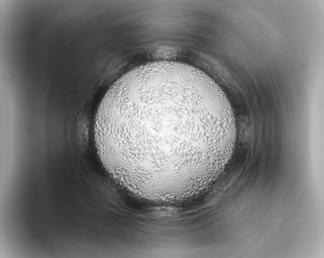 X0000093500363200711021014