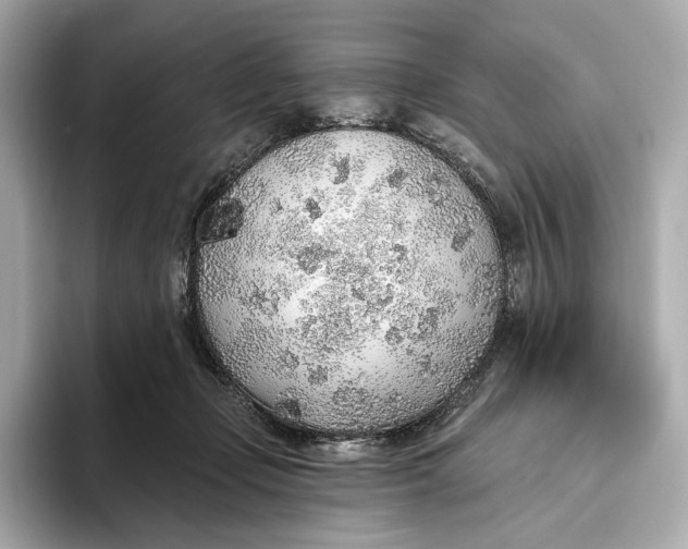 X0000093500365200711021014