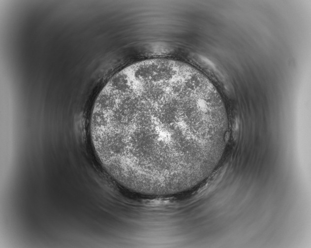 X0000093500366200711021014