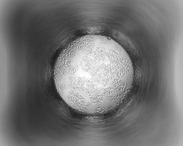 X0000093500367200711021014