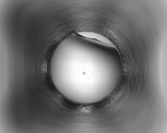 X0000093500368200711021014