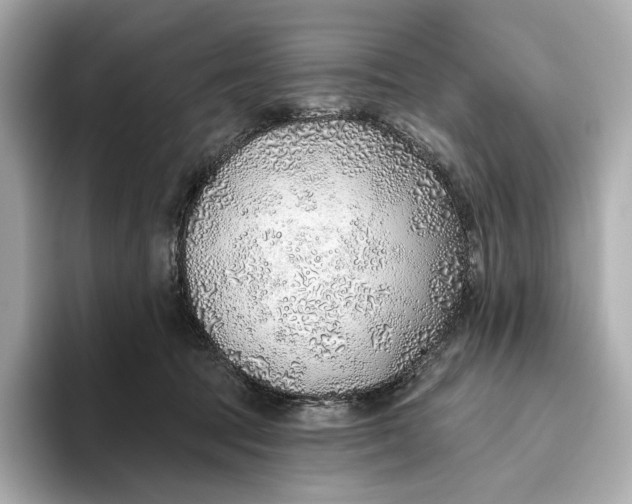 X0000093500369200711021014