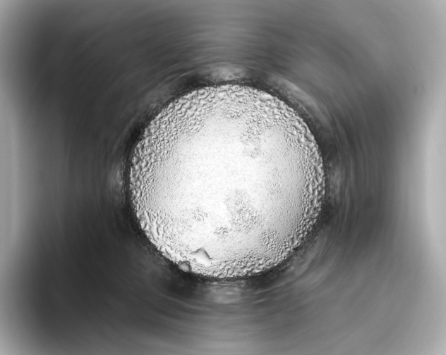 X0000093500373200711021014