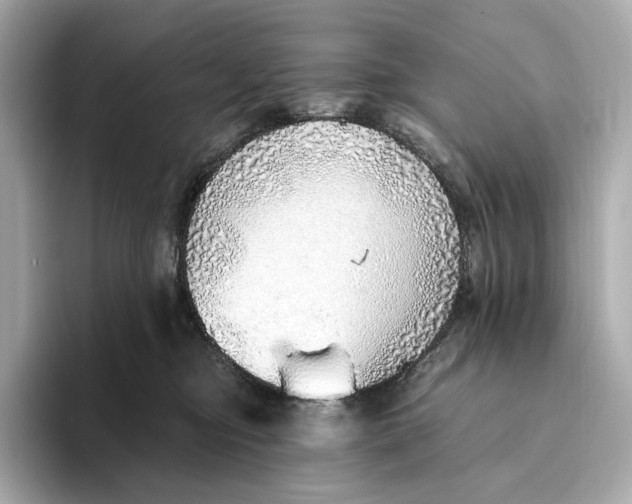 X0000093500374200711021014