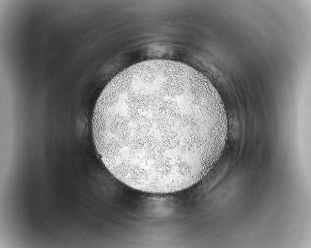X0000093500375200711021014