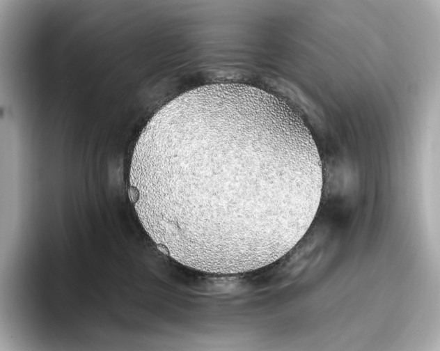 X0000093500377200711021014