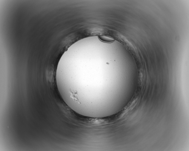 X0000093500379200711021014