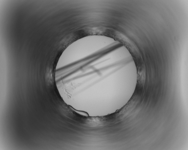 X0000093500381200711021014