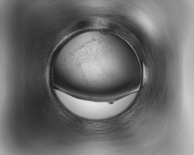X0000093500387200711021013