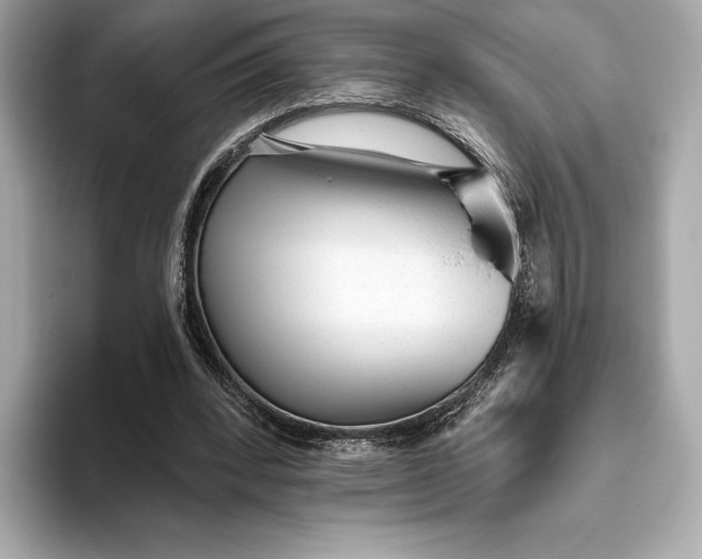 X0000093500392200711021013