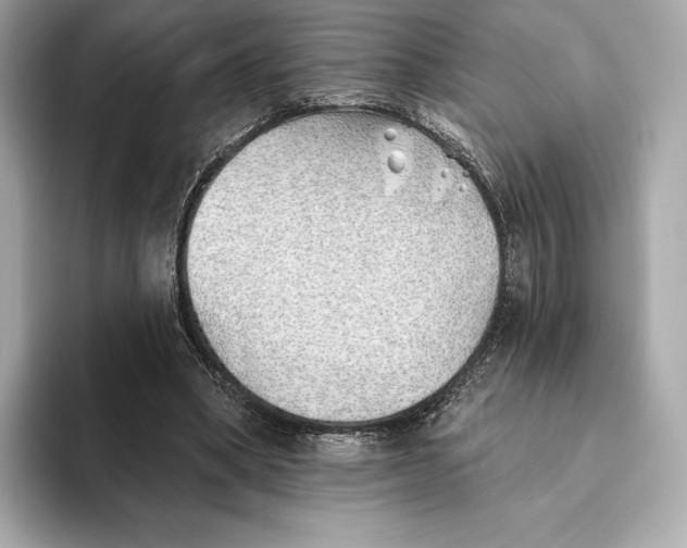X0000093500394200711021013
