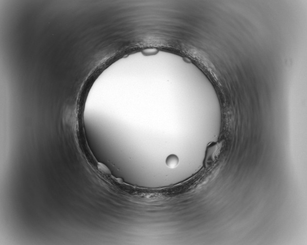 X0000093500395200711021013