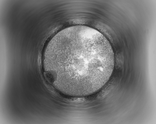X0000093500398200711021013