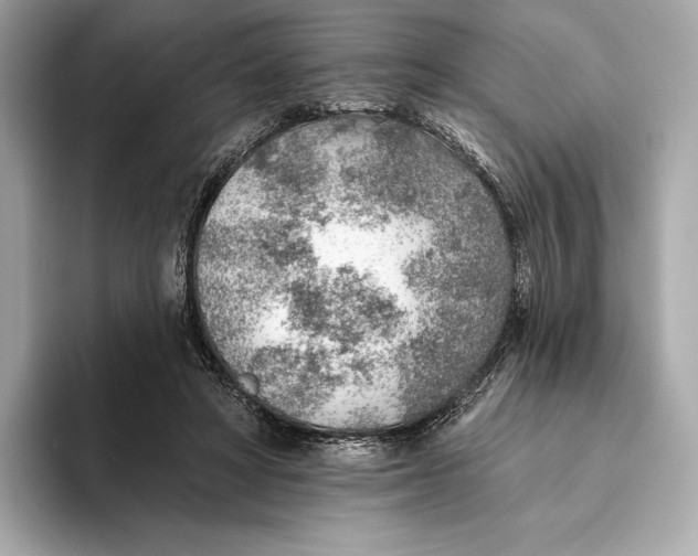 X0000093500402200711021013
