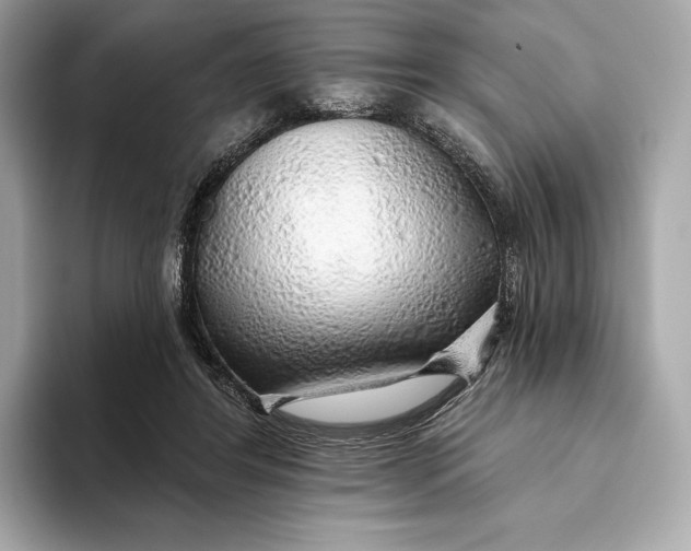 X0000093500404200711021013