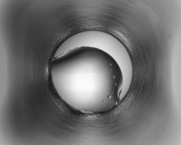 X0000093500405200711021013