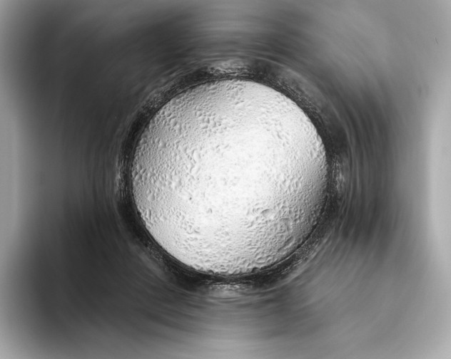 X0000093500408200711021013