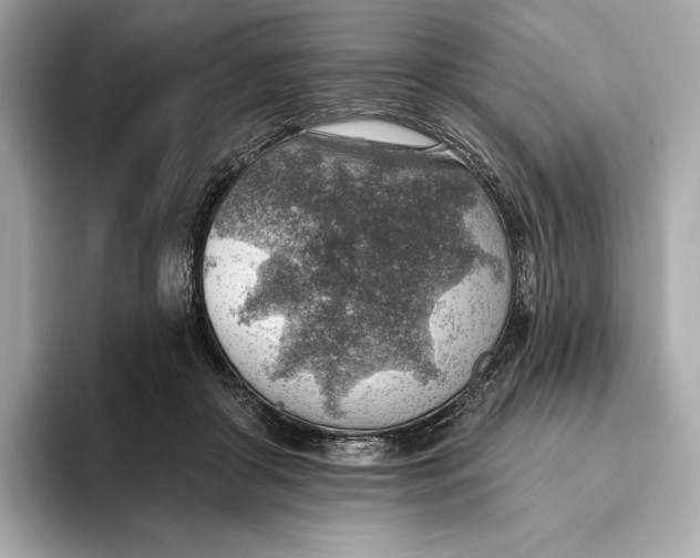 X0000093500410200711021013