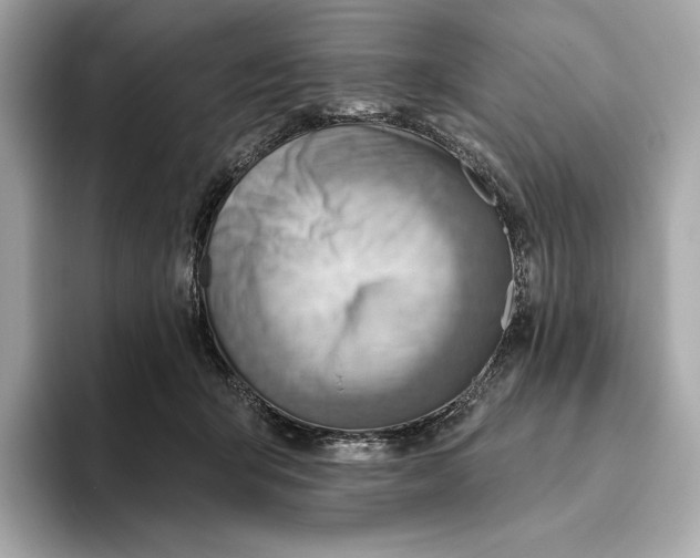 X0000093500415200711021013