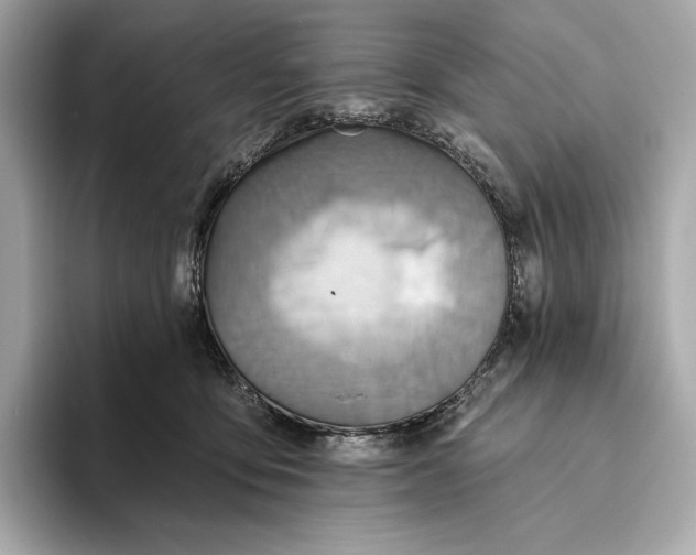 X0000093500419200711021013