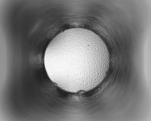X0000093500420200711021013