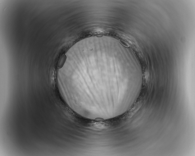 X0000093500423200711021013