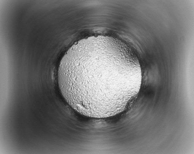 X0000093500424200711021013