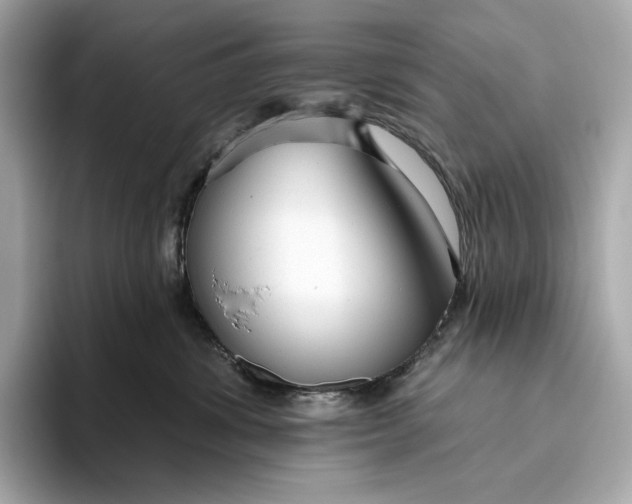 X0000093500428200711021013