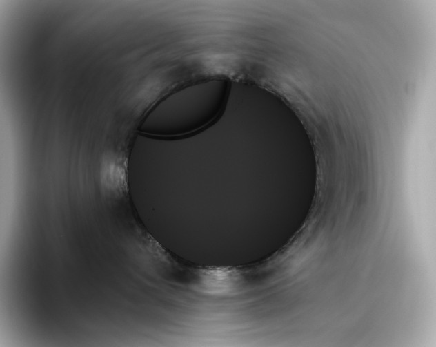 X0000093500432200711021013
