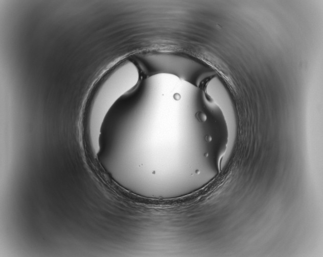 X0000093500436200711021012