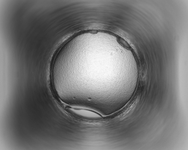 X0000093500437200711021012