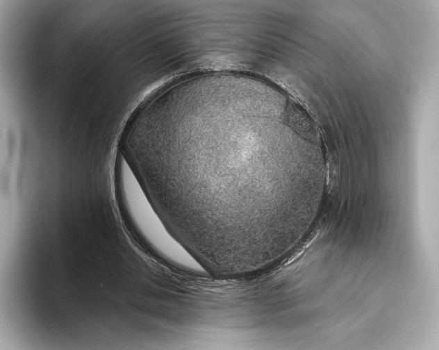 X0000093500438200711021012