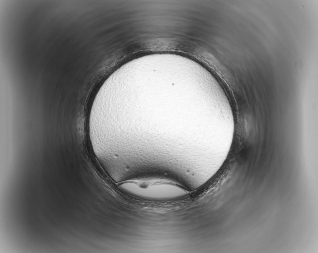 X0000093500441200711021012