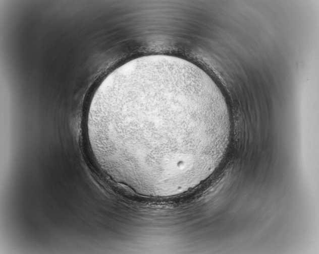 X0000093500443200711021012