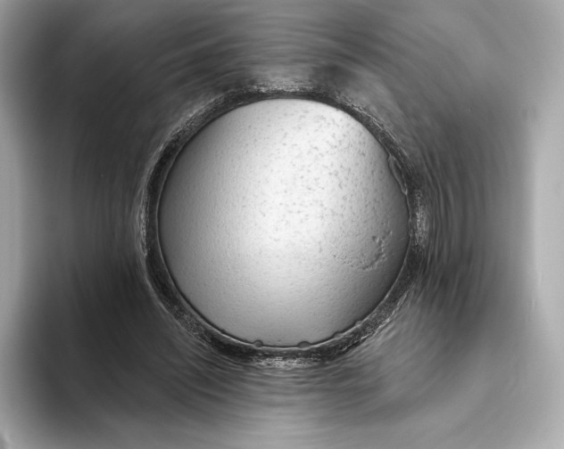 X0000093500444200711021012