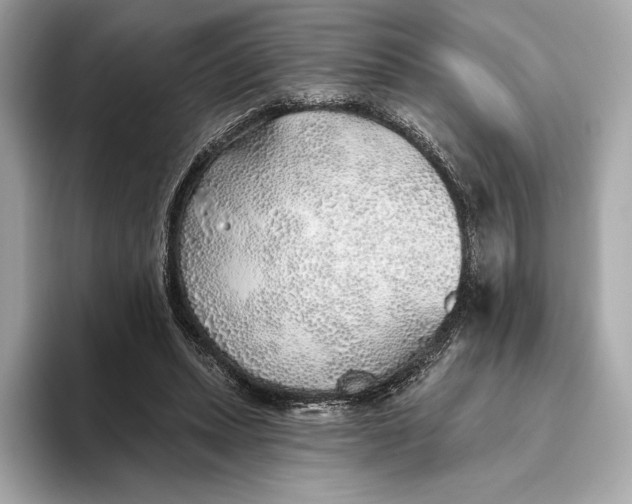 X0000093500447200711021013