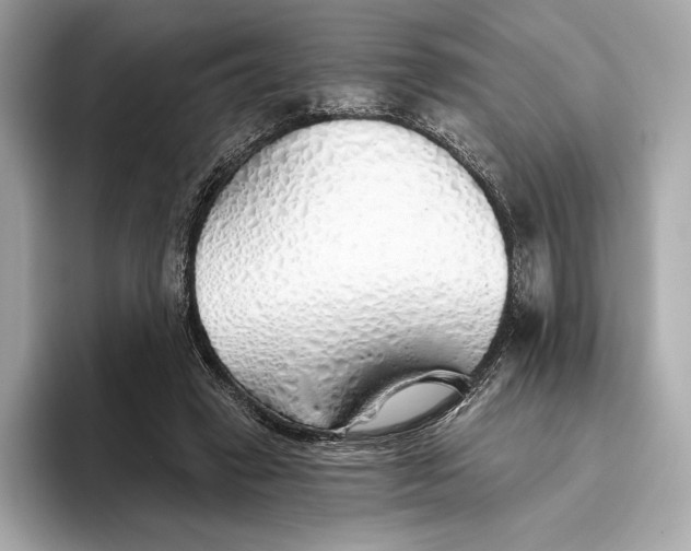 X0000093500449200711021013
