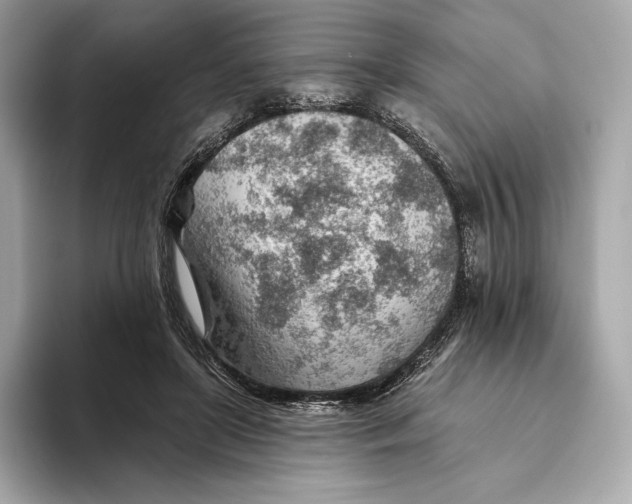 X0000093500451200711021013