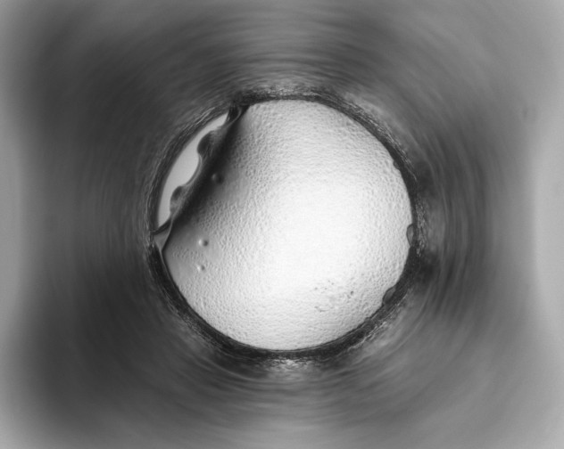 X0000093500453200711021013